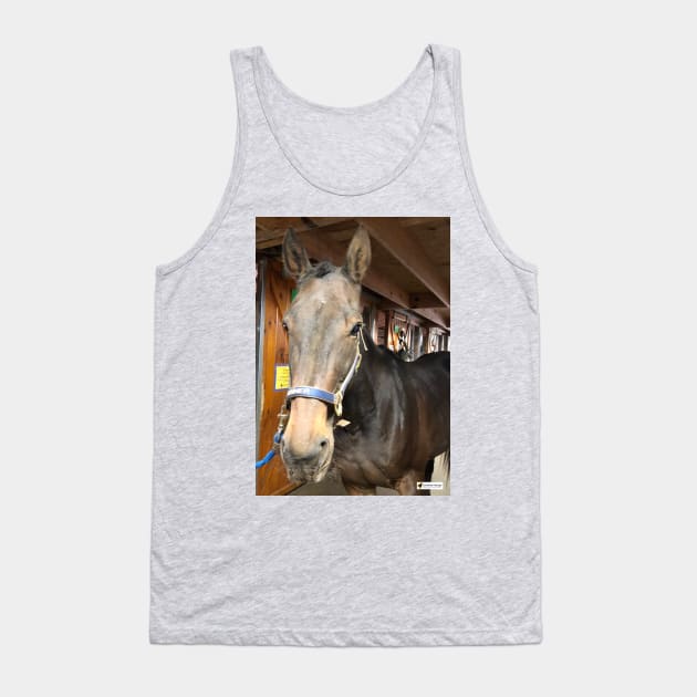 Runner Tank Top by SunshineHorses